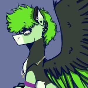 Meet your Posher, Skyler